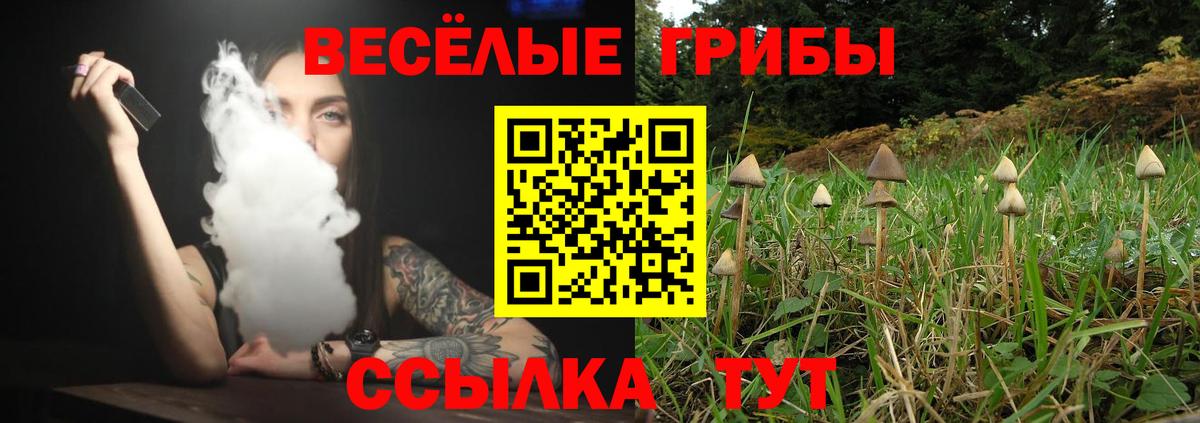 Галлюциногенные грибы Magic Shrooms  Псилоцибиновые грибы GOLDEN TEACHER  Вход с VPN  Советская Гавань 